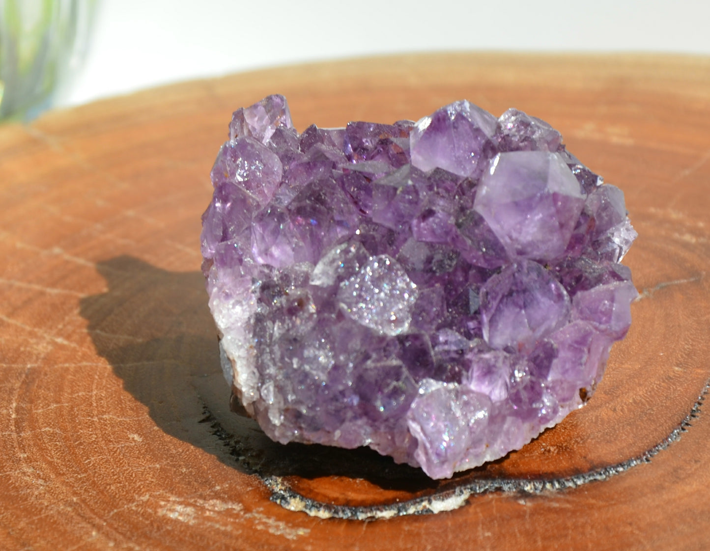 Amethyst Cluster