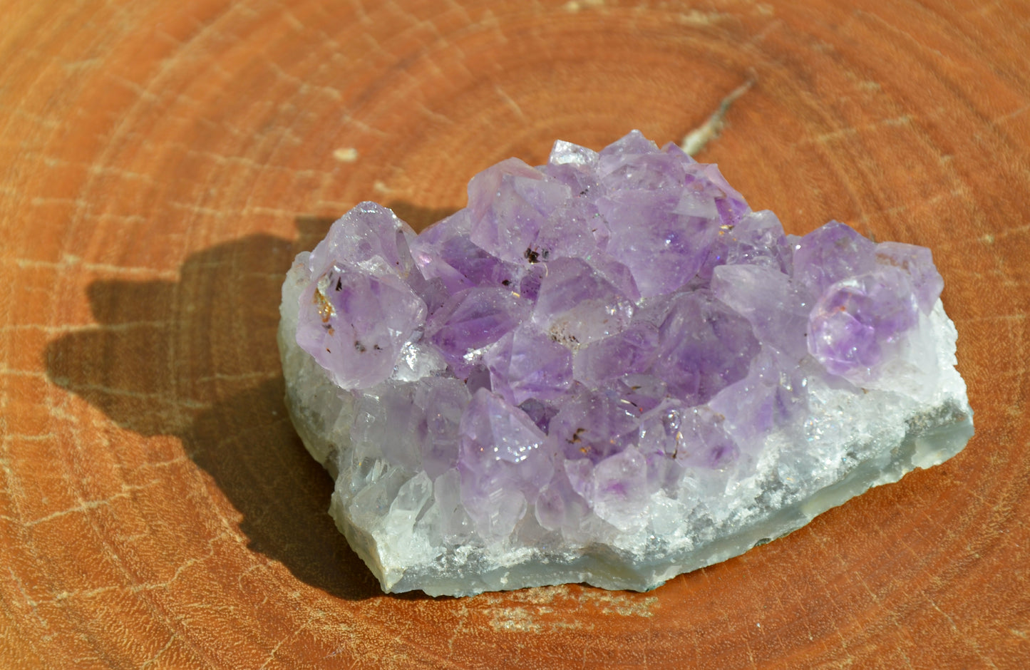 Amethyst Cluster