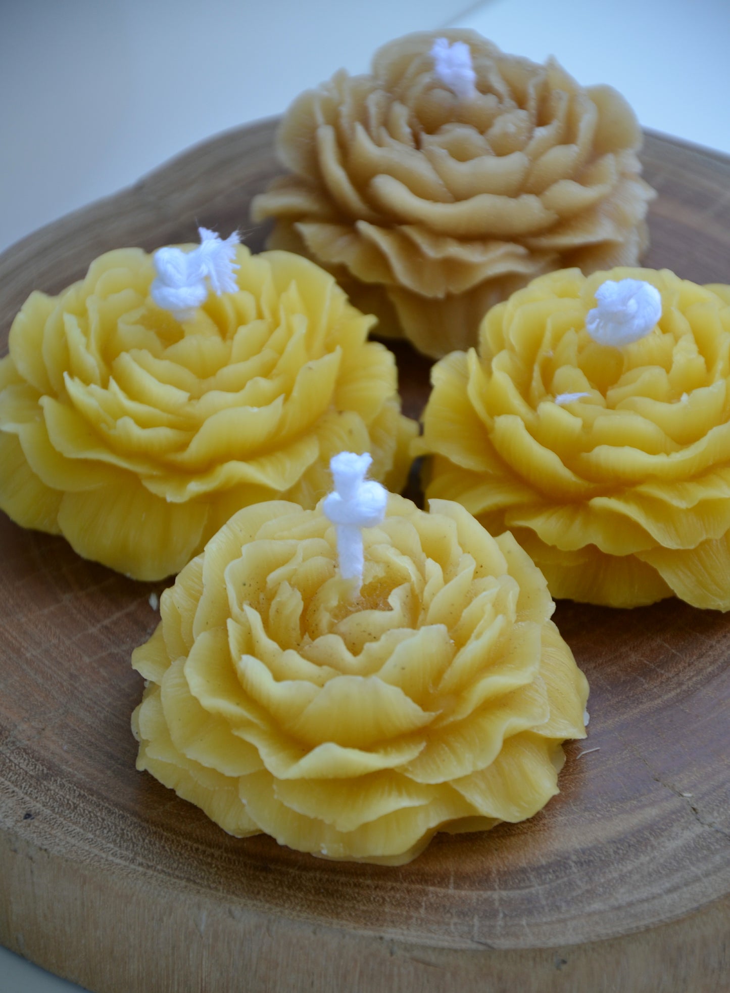 Beeswax Peony - Floral Garden