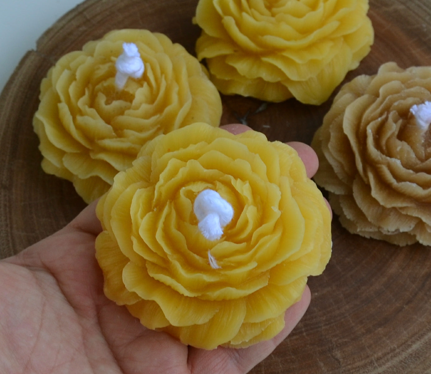 Beeswax Peony - Floral Garden