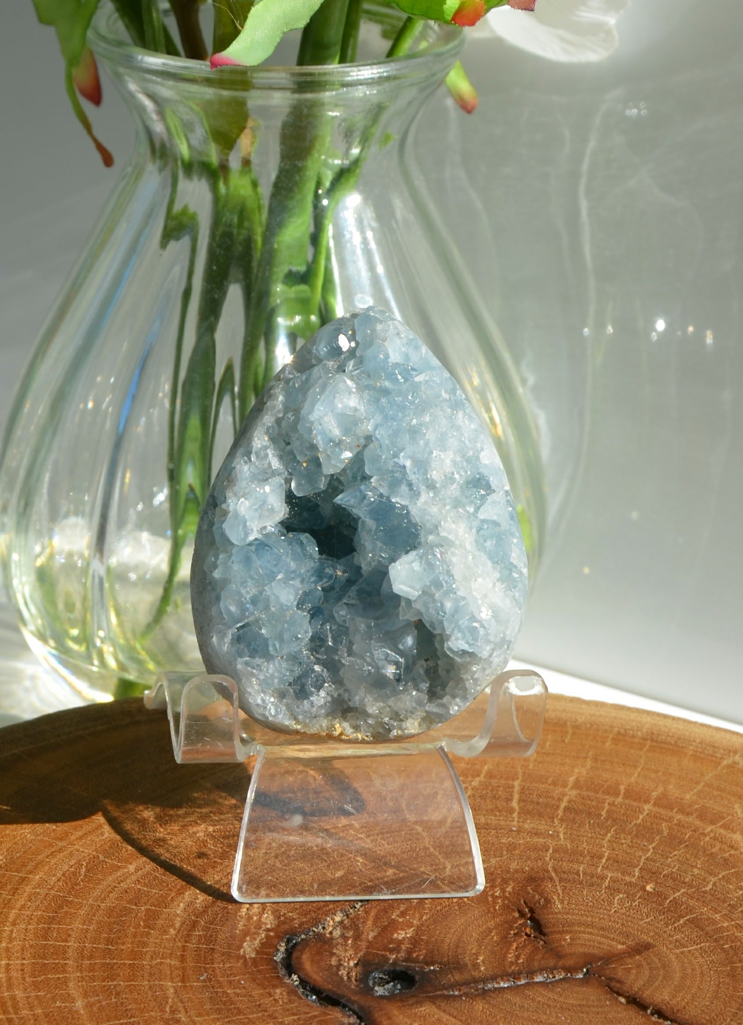 Celestite Cluster Egg