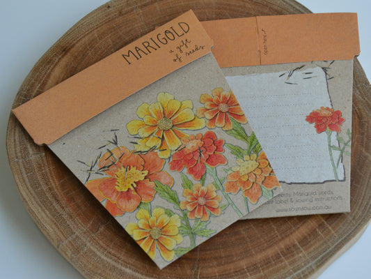 Gift of Seeds - Marigold