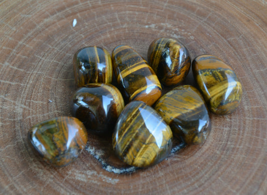 Tigers Eye Tumble